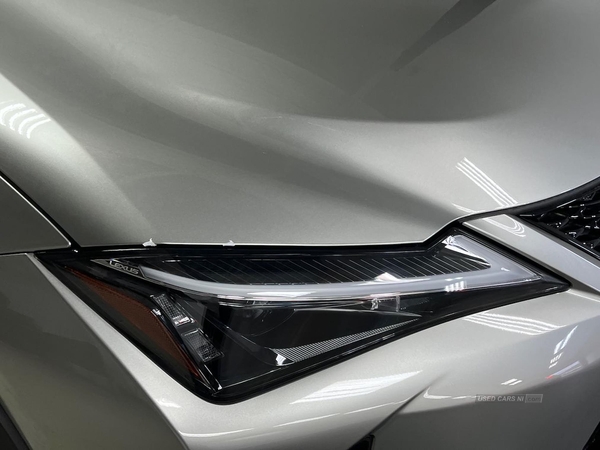 Lexus UX 300H 2.0 F-Sport Design 5Dr Cvt in Antrim
