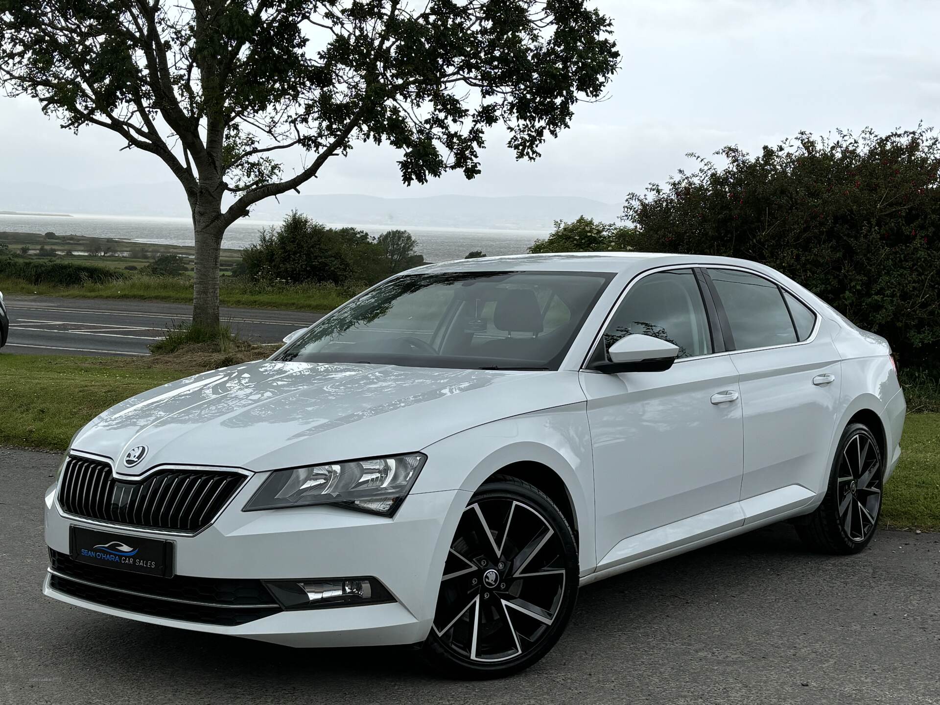 Skoda Superb DIESEL HATCHBACK in Derry / Londonderry