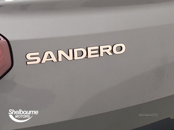 Dacia Sandero Stepway New Sandero Stepway Comfort 1.0 tCe 90 5dr in Armagh