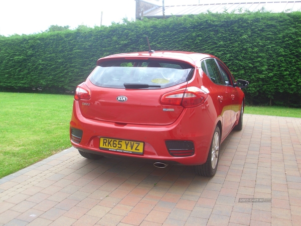 Kia Ceed DIESEL HATCHBACK in Fermanagh