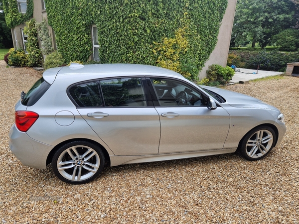 BMW 1 Series 116d M Sport 5dr in Down