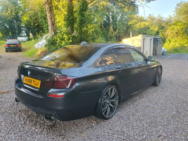 BMW 5 Series 520d M Sport 4dr in Derry / Londonderry