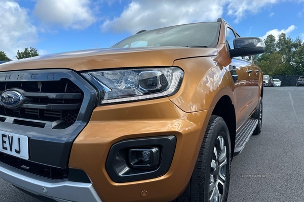 Ford Ranger Wildtrak AUTO 2.0 EcoBlue 213ps 4x4 Double Cab Pick Up in Armagh