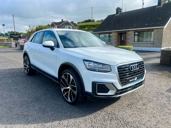 Audi Q2 1.6 TDI SPORT in Tyrone