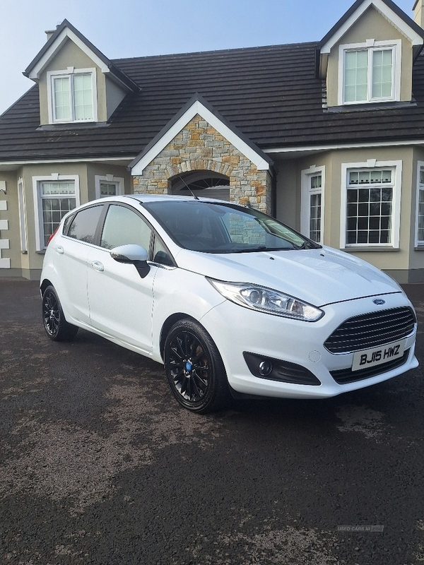 Ford Fiesta 1.6 TDCi Titanium X 5dr in Tyrone