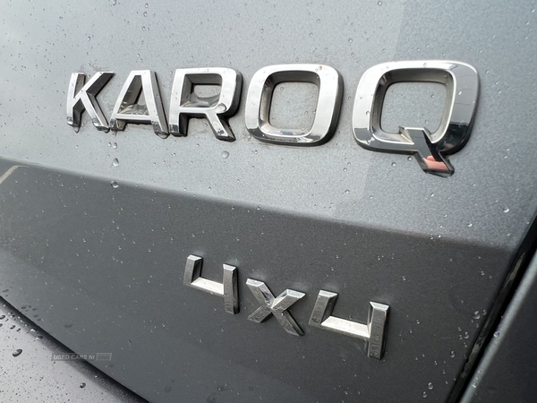 Skoda Karoq SE L 2.0 TDI 150PS 7-SPD DSG AUTO 4X4 in Armagh