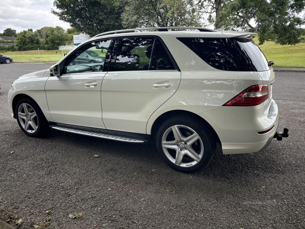 Mercedes M-Class DIESEL STATION WAGON in Down