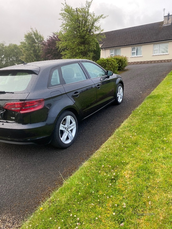 Audi A3 2.0 TDI SE 5dr in Tyrone