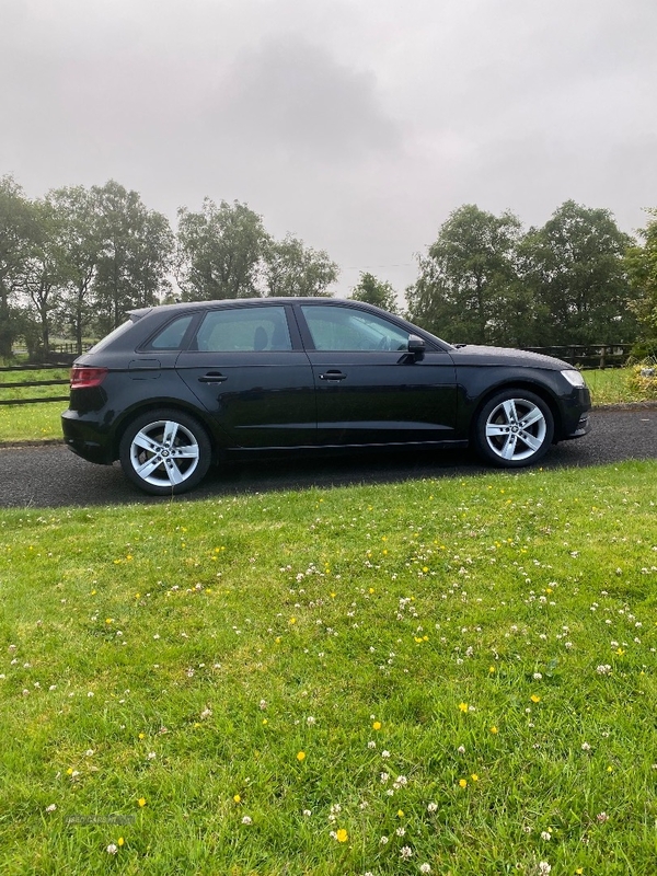 Audi A3 2.0 TDI SE 5dr in Tyrone