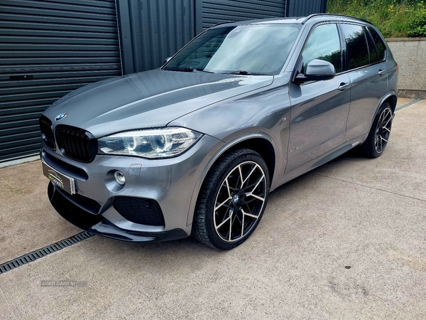 BMW X5 DIESEL ESTATE in Tyrone