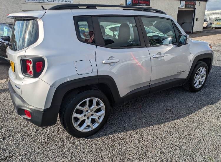 Jeep Renegade HATCHBACK in Down