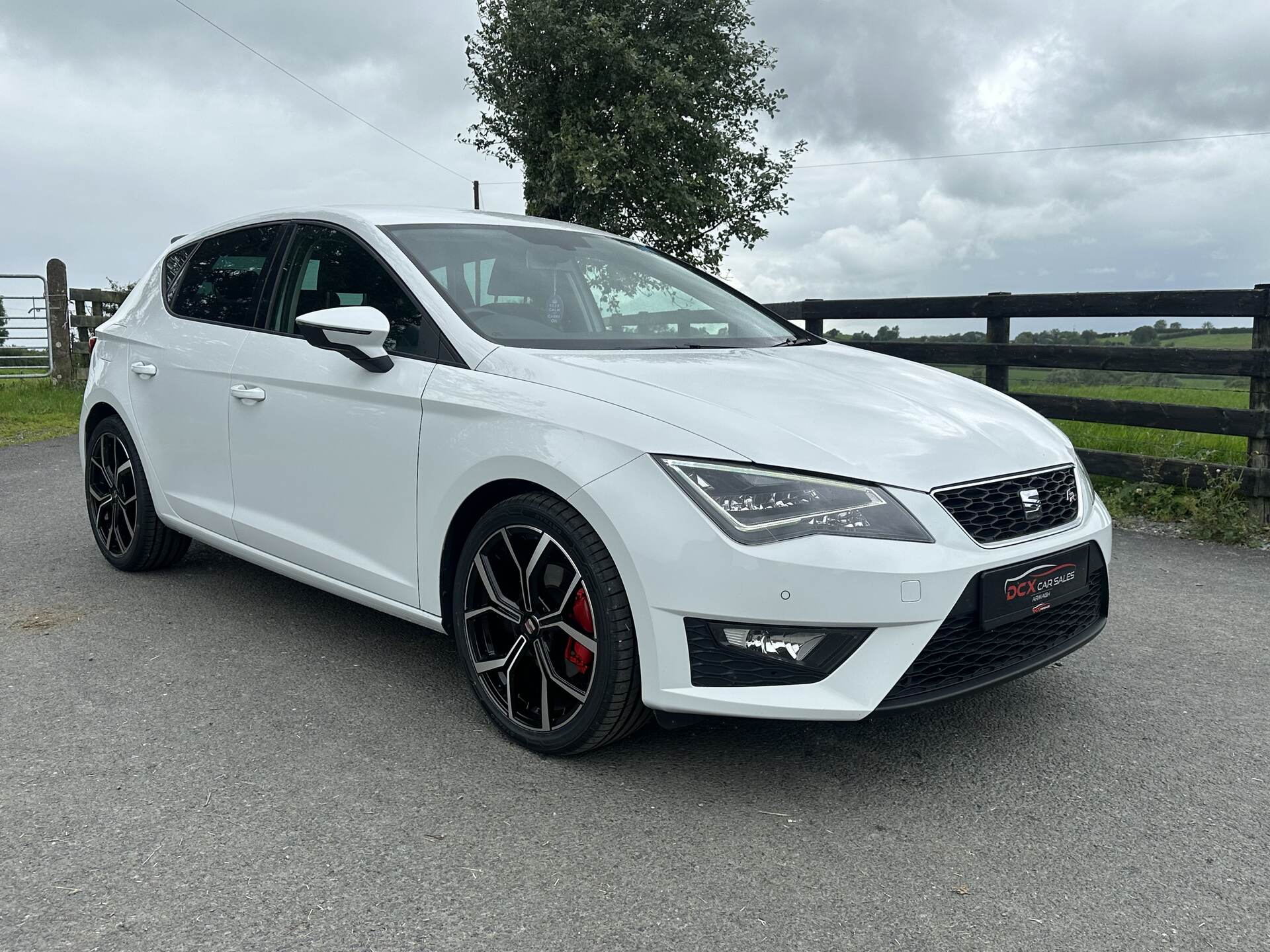 Seat Leon DIESEL HATCHBACK in Armagh