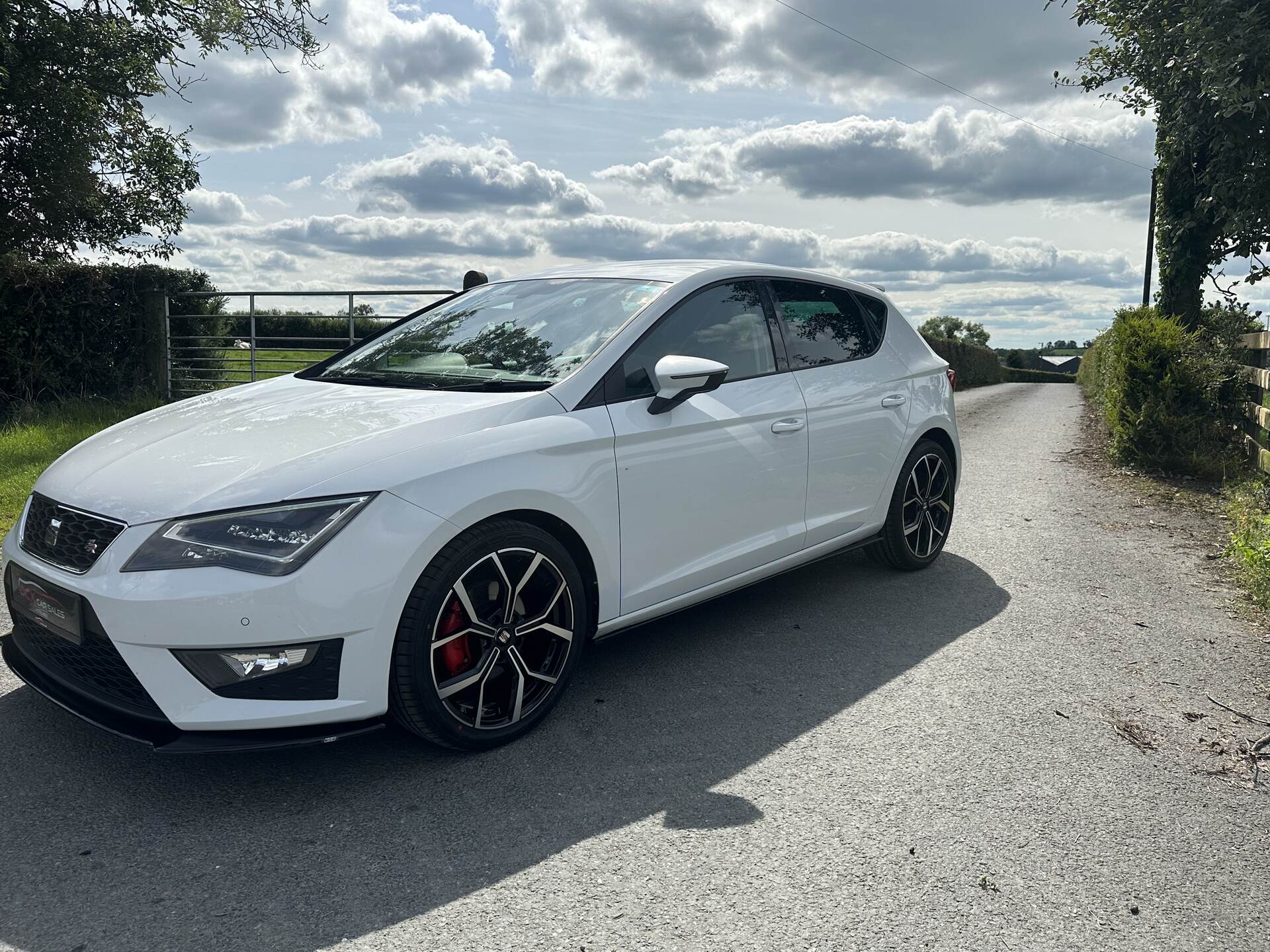 Seat Leon DIESEL HATCHBACK in Armagh