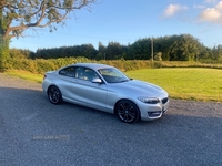 BMW 2 Series 220d Sport 2dr in Down