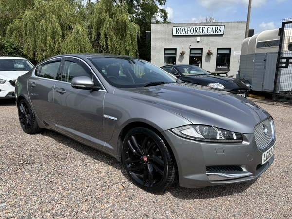 Jaguar XF DIESEL SALOON in Antrim