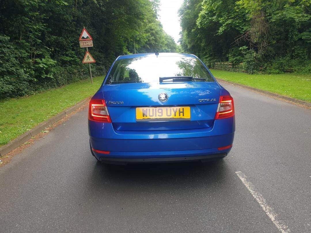 Skoda Octavia DIESEL HATCHBACK in Armagh