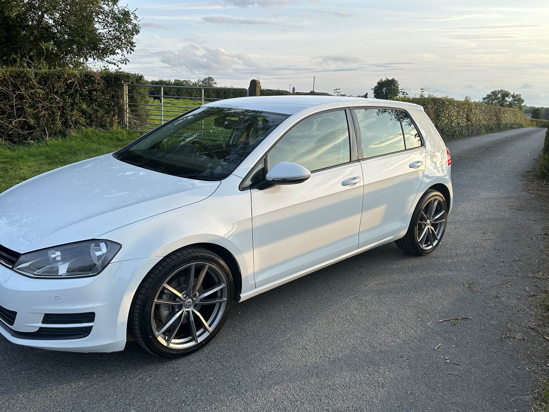 Volkswagen Golf DIESEL HATCHBACK in Armagh