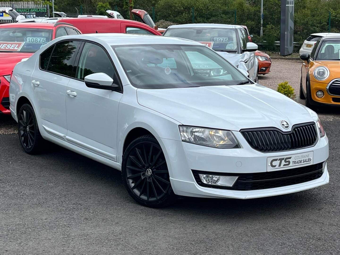 Skoda Octavia HATCHBACK SPECIAL EDITIONS in Derry / Londonderry