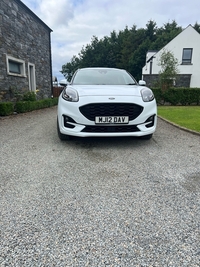 Ford Puma 1.0 EcoBoost Hybrid mHEV ST-Line 5dr DCT in Armagh