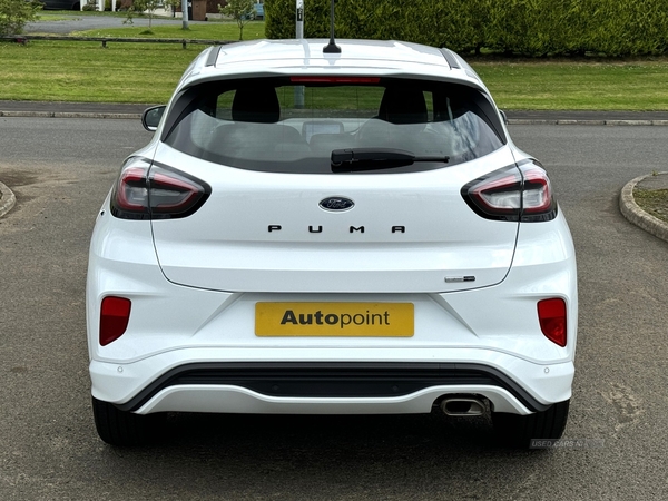 Ford Puma HATCHBACK in Antrim