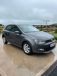 Volkswagen Polo 1.6 TDI SE 5dr in Armagh