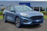 Ford Kuga 2.0 EcoBlue 190 ST-Line X Edition 5dr Auto AWD - PANORAMIC SUNROOF, FRONT & REAR HEATED SEATS, B&O PREMIUM AUDIO, POWER TAILGATE, KEYLESS GO and more in Antrim