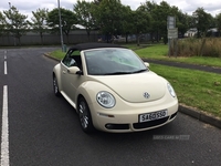 Volkswagen Beetle convertible in Derry / Londonderry