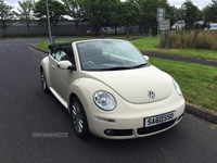 Volkswagen Beetle convertible in Derry / Londonderry