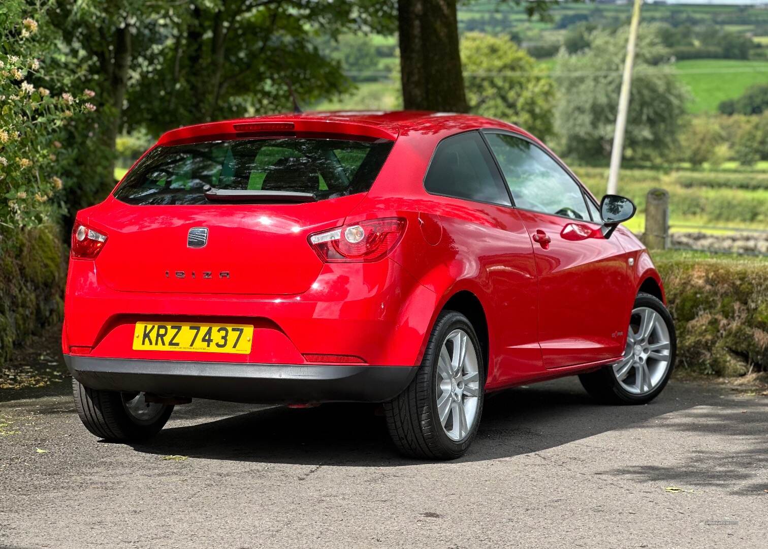 Seat Ibiza SPORT COUPE in Antrim