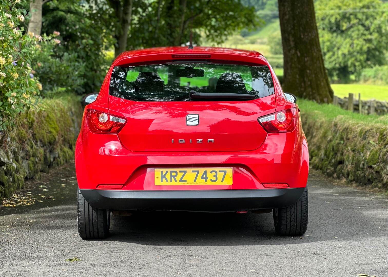 Seat Ibiza SPORT COUPE in Antrim