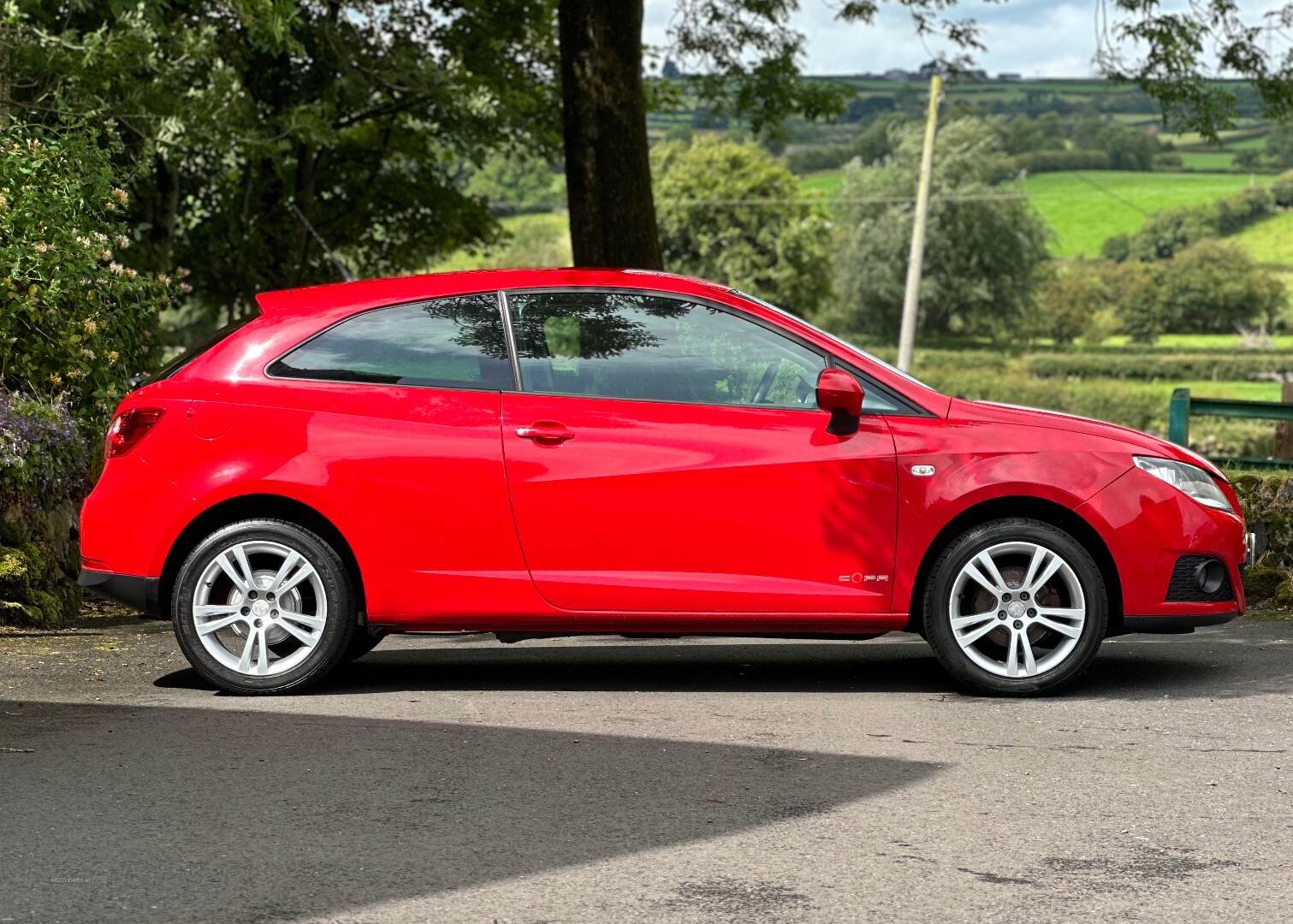 Seat Ibiza SPORT COUPE in Antrim