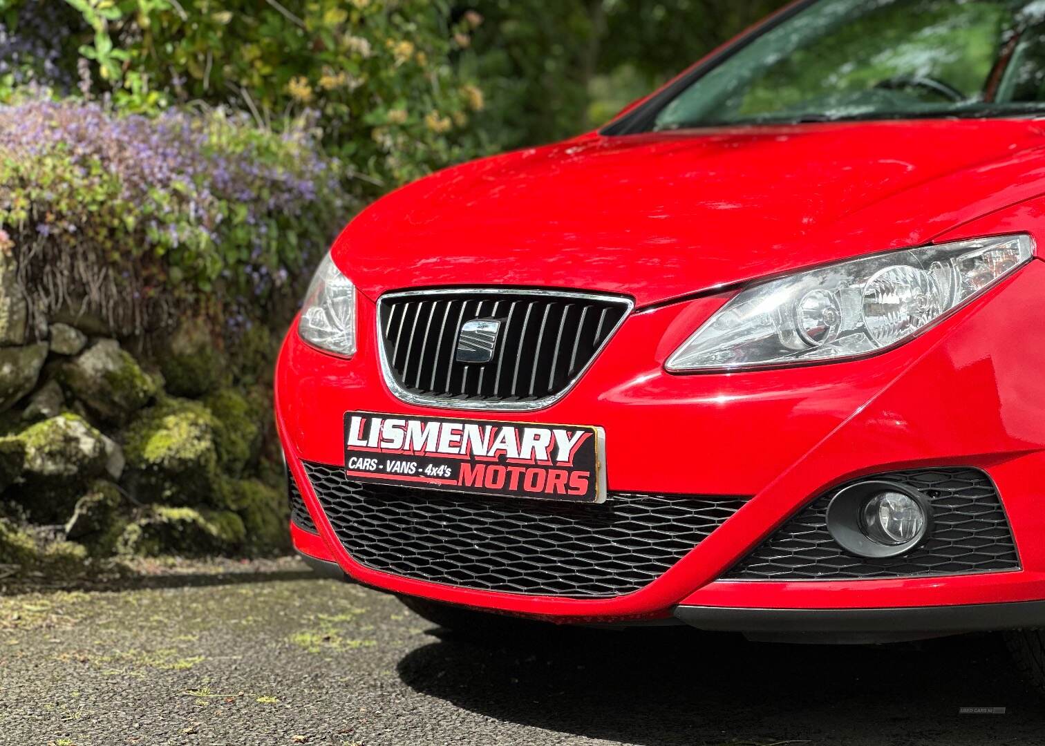 Seat Ibiza SPORT COUPE in Antrim