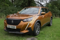 Peugeot 2008 1.2 PureTech Active Euro 6 (s/s) 5dr in Down