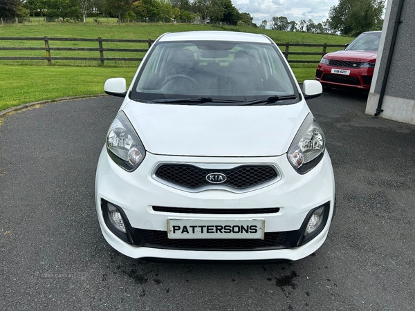 Kia Picanto HATCHBACK in Armagh