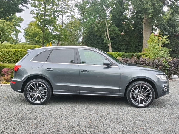 Audi Q5 ESTATE SPECIAL EDITIONS in Tyrone