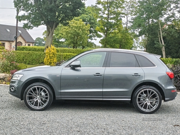 Audi Q5 ESTATE SPECIAL EDITIONS in Tyrone