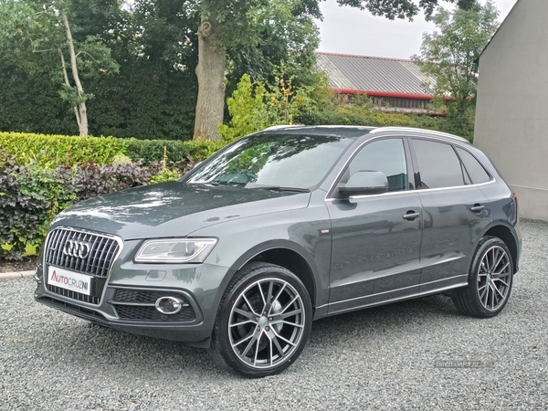 Audi Q5 ESTATE SPECIAL EDITIONS in Tyrone