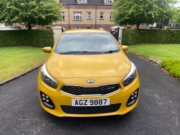 Kia Pro Ceed DIESEL HATCHBACK in Tyrone