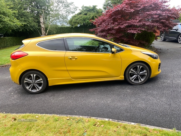 Kia Pro Ceed DIESEL HATCHBACK in Tyrone