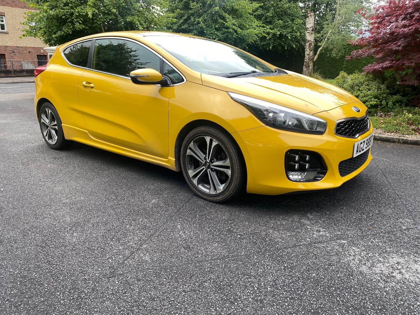 Kia Pro Ceed DIESEL HATCHBACK in Tyrone