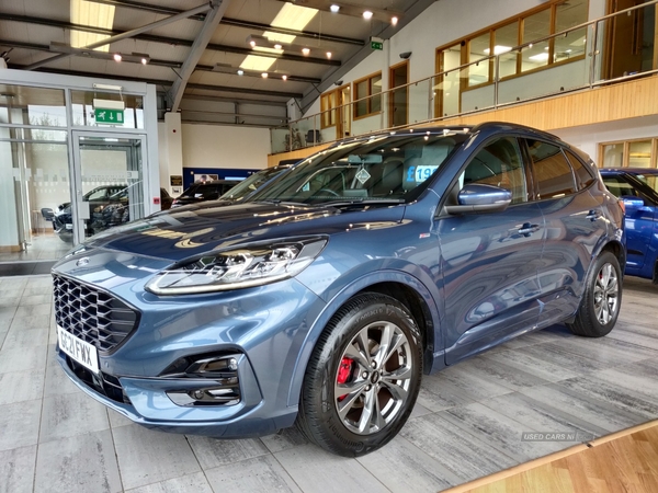 Ford Kuga DIESEL ESTATE in Tyrone