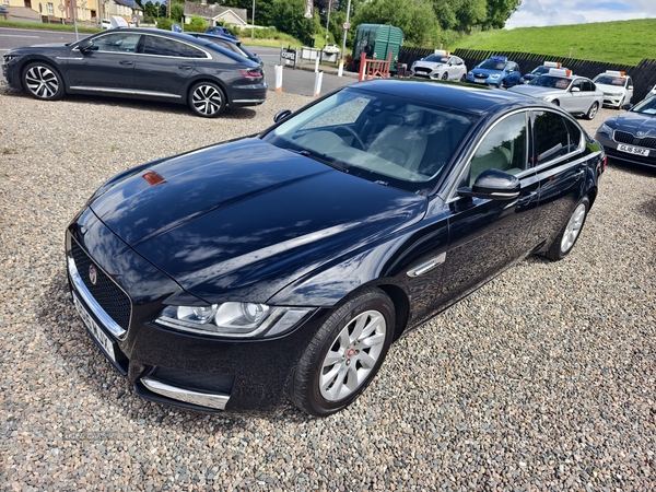 Jaguar XF DIESEL SALOON in Fermanagh