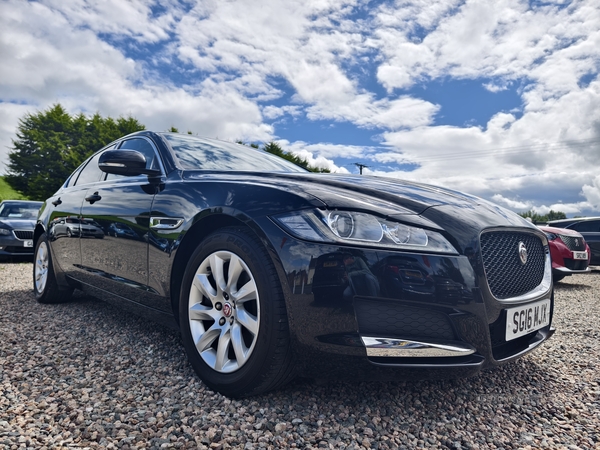 Jaguar XF DIESEL SALOON in Fermanagh