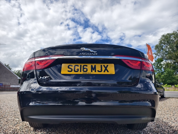 Jaguar XF DIESEL SALOON in Fermanagh