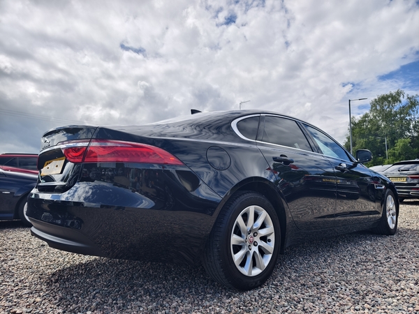 Jaguar XF DIESEL SALOON in Fermanagh