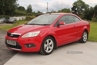Ford Focus 1.6 CC-1 2dr in Down