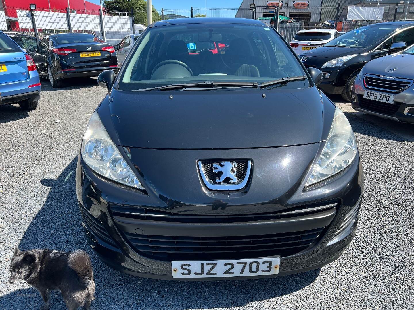 Peugeot 207 HATCHBACK in Down