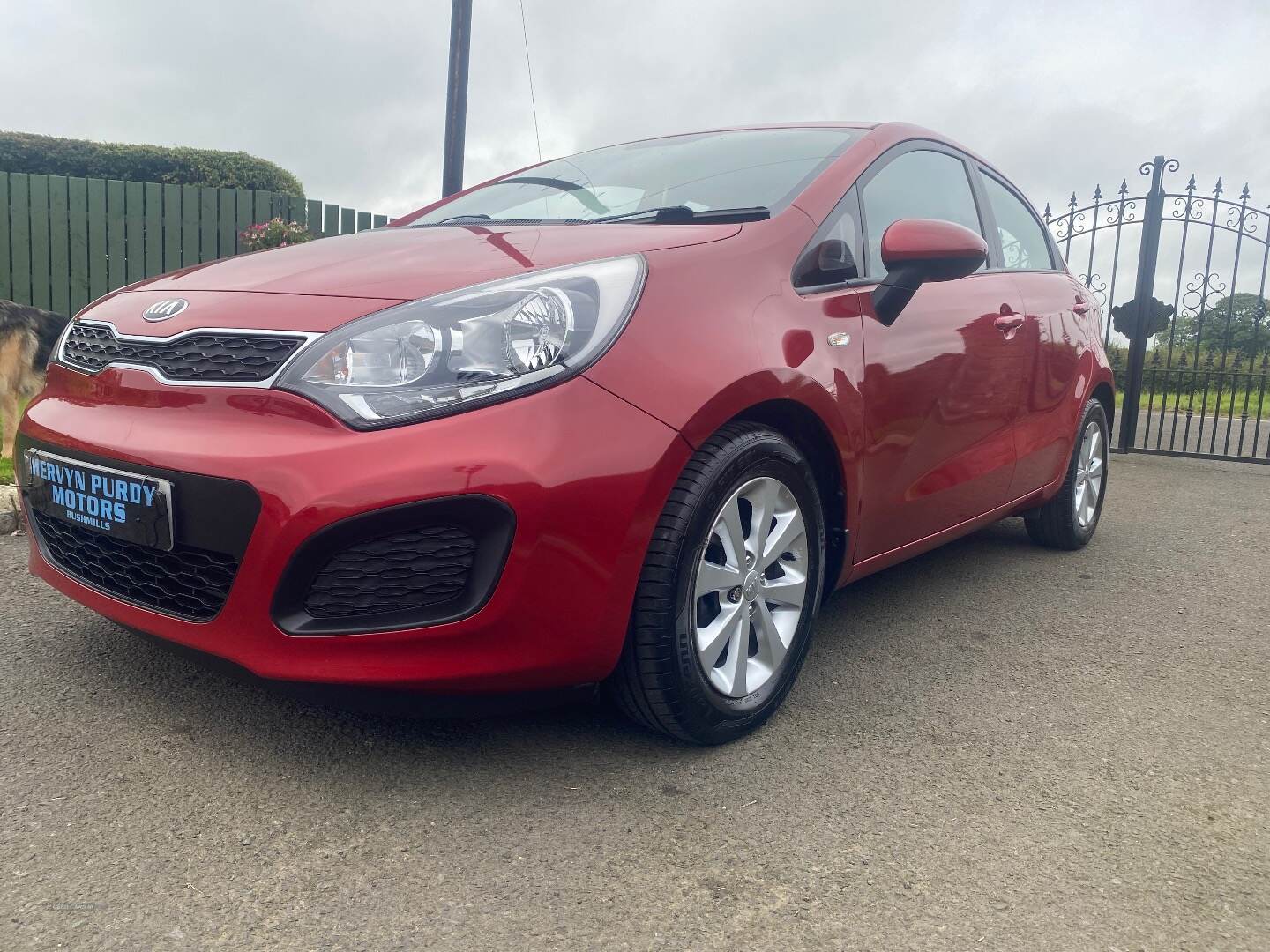 Kia Rio HATCHBACK SPECIAL EDITIONS in Antrim