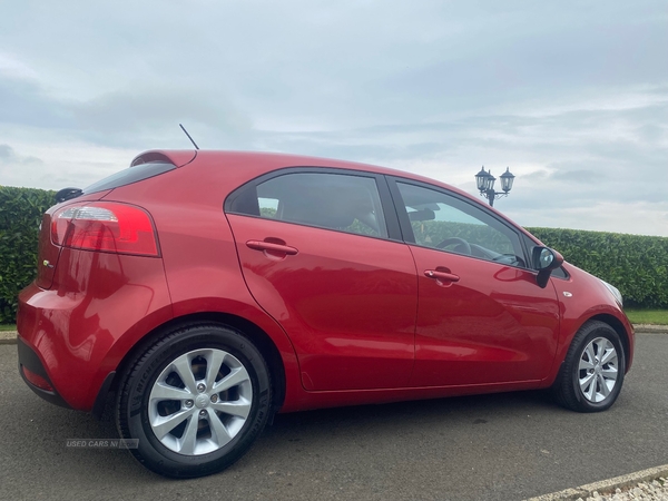 Kia Rio HATCHBACK SPECIAL EDITIONS in Antrim