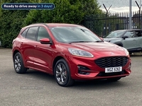 Ford Kuga 2.5 Fhev St-Line Edition 5Dr Cvt in Antrim